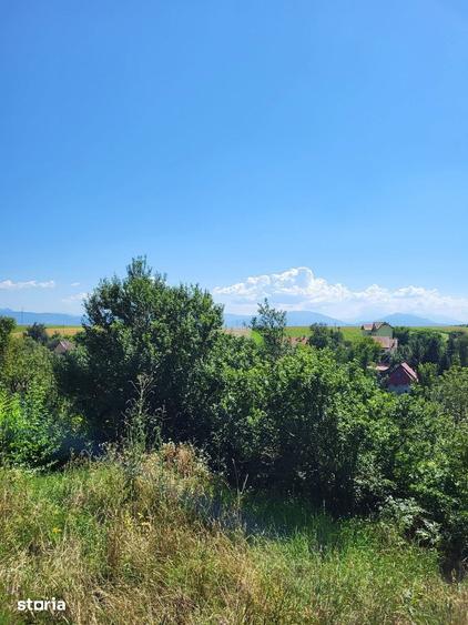 Teren de 1500 mp, în Ilieni