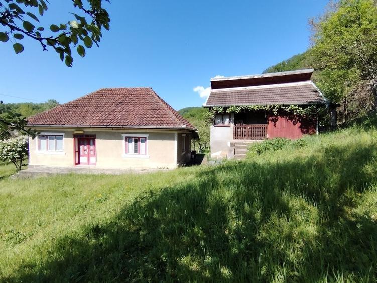 Casă cu 2 camere în Ormindea