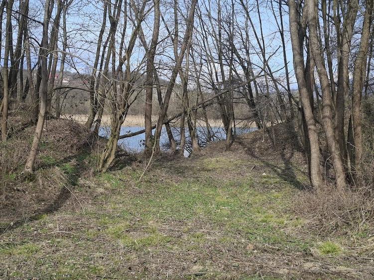 Teren de 3800 mp, în Fedeleșoiu