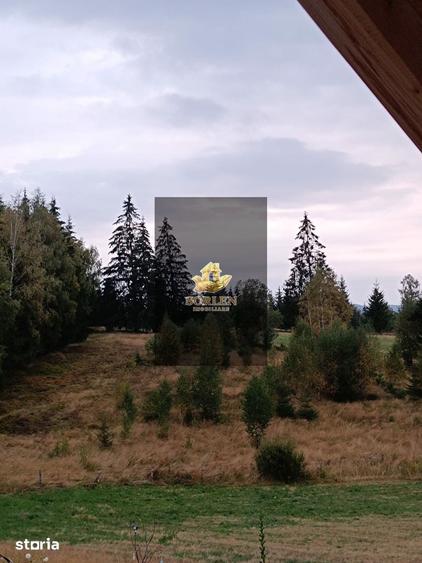 Teren de 3300 mp, în Râșca