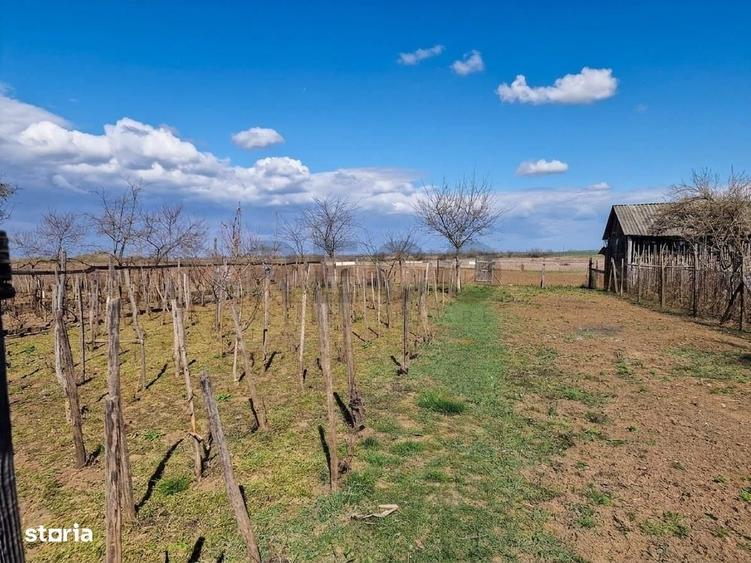 Casă în Șilindru