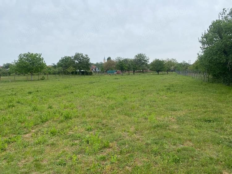 Teren de 4596 mp, în Cetariu