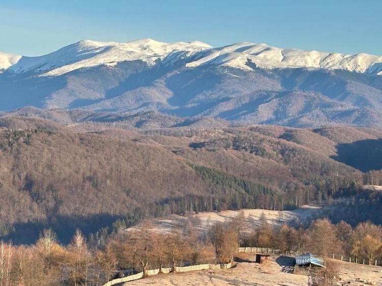Casă cu 2 camere cu Teren 1000 Mp în Oțelu