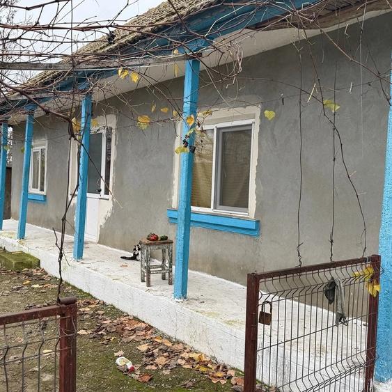Casă cu Teren 4000 Mp în Valea Nucarilor
