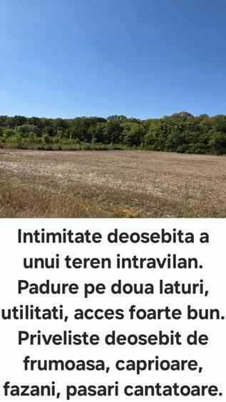 Teren intravilan unic, zona noua langa padure, Bucuresti si Ilfov, oportunitate investitie - 4
