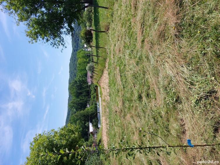 Teren de 1500 mp, în Vulcana de Sus