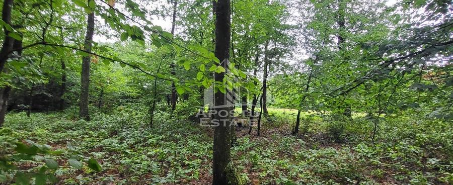 Teren agricol extravilan de 8600 mp, în Cuied