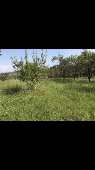 Teren de 14523 mp, în Văleni-Dâmbovița