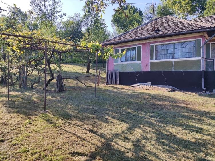 Casă individuală cu 3 camere cu Teren 1378 Mp în Purcăreț