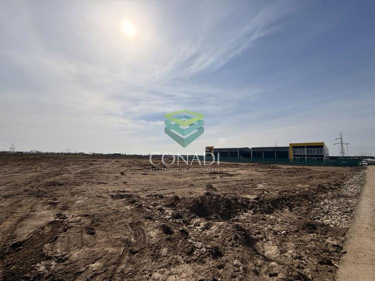 Teren Construcții intravilan de 18338 mp, în Cernica
