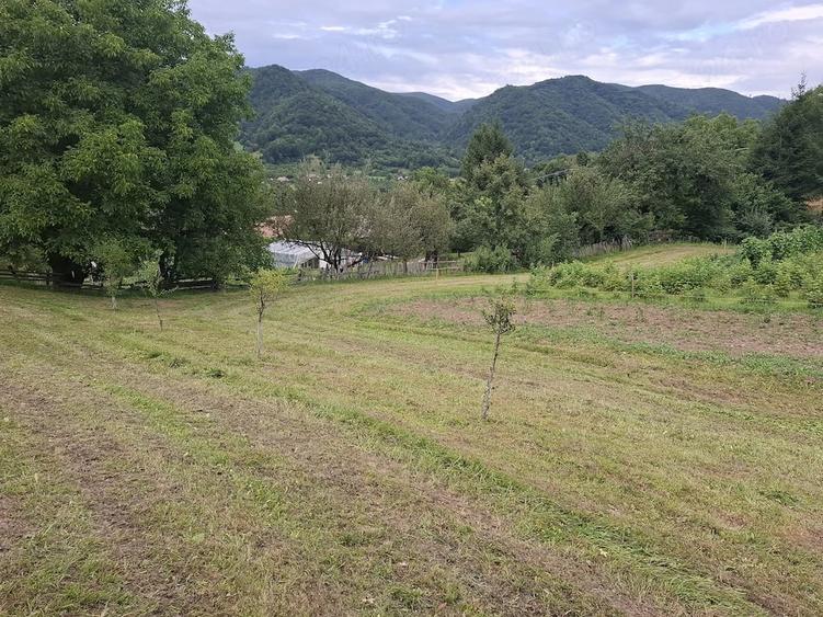 Teren de 2300 mp, în Brădețelu