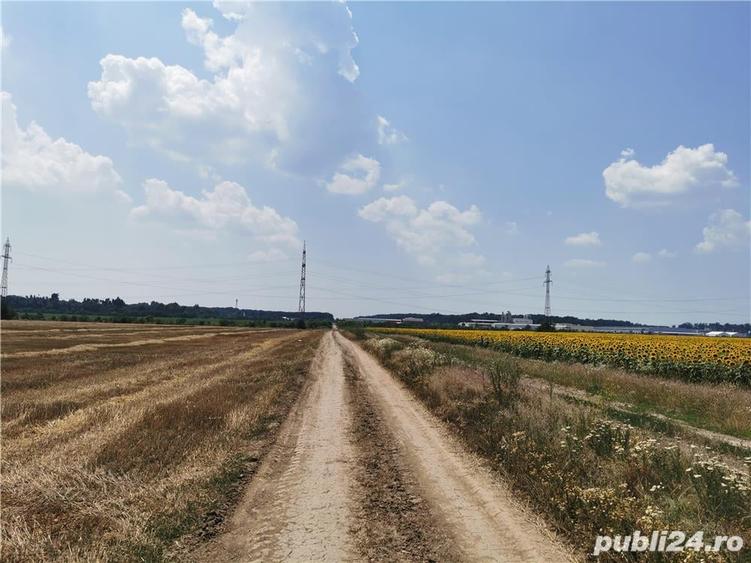 Teren de 5000 mp, în Central