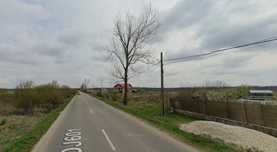 Teren agricol extravilan de 5006 mp, în Crevedia Mare