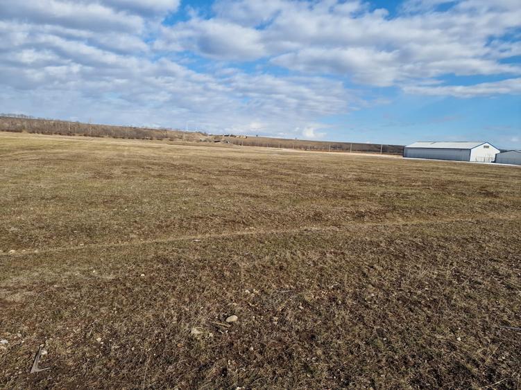 Teren agricol extravilan de 10000 mp, în Est