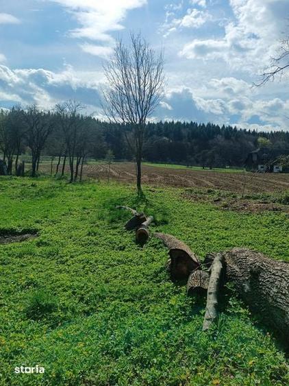 Teren de 500 mp, în Bodești
