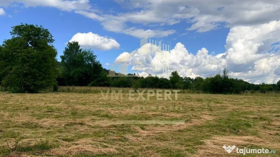Casă cu 3 camere cu Teren 6997 Mp în Bughea de Sus