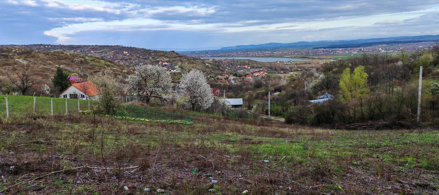 Teren de 1382 mp, în Podgoria