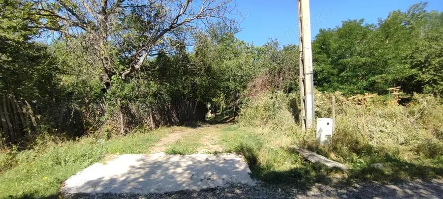 Teren de 4786 mp, în Jugureni