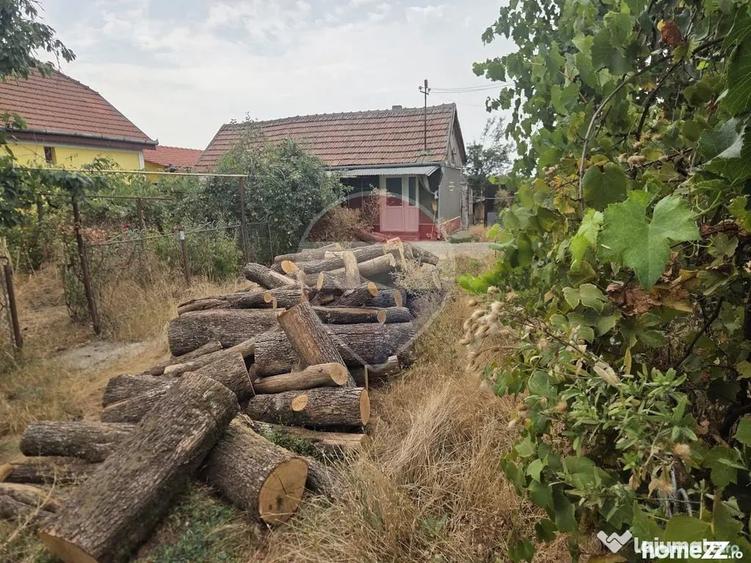 Casă cu 4 camere cu Teren 3196 Mp în Mădăras