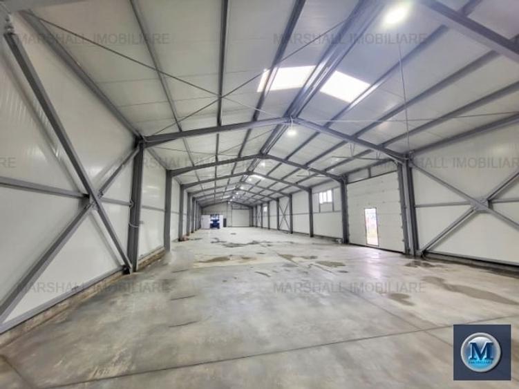 Spațiu industrial, de 600 mp, în Brazii de Sus