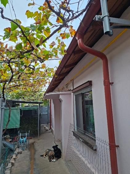 Casă individuală cu 3 camere cu Canalizare în Dorobanți