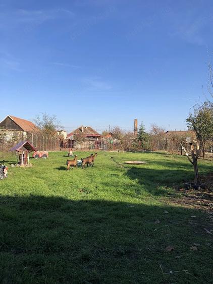 Casă cu 4 camere cu Teren 1040 Mp în Horia
