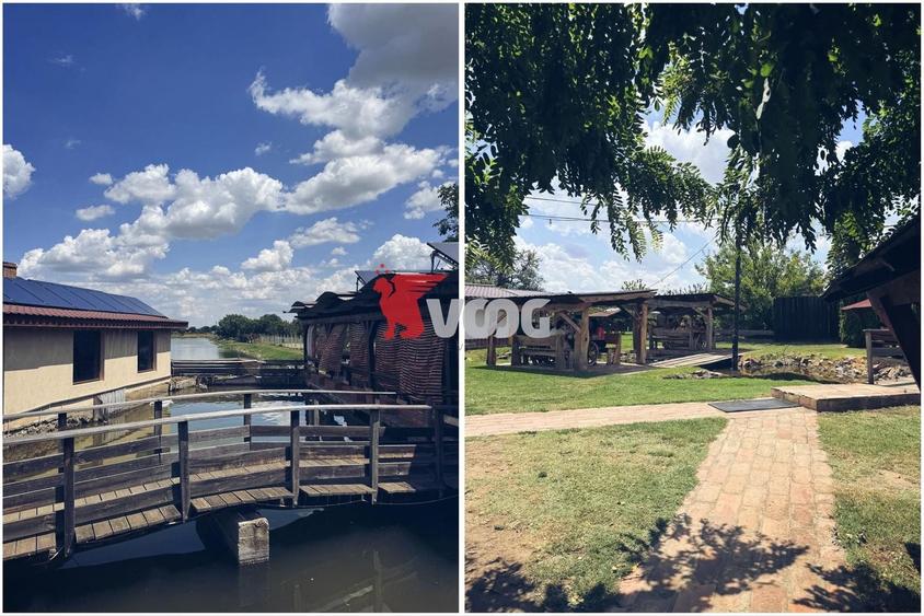 Spațiu comercial, de 19,400 mp, în Peciu Nou