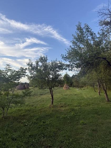 Casă cu 4 camere în Giulești