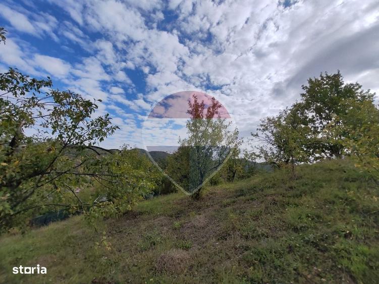 VANZARE Teren intravilan in Provita de Jos - 17