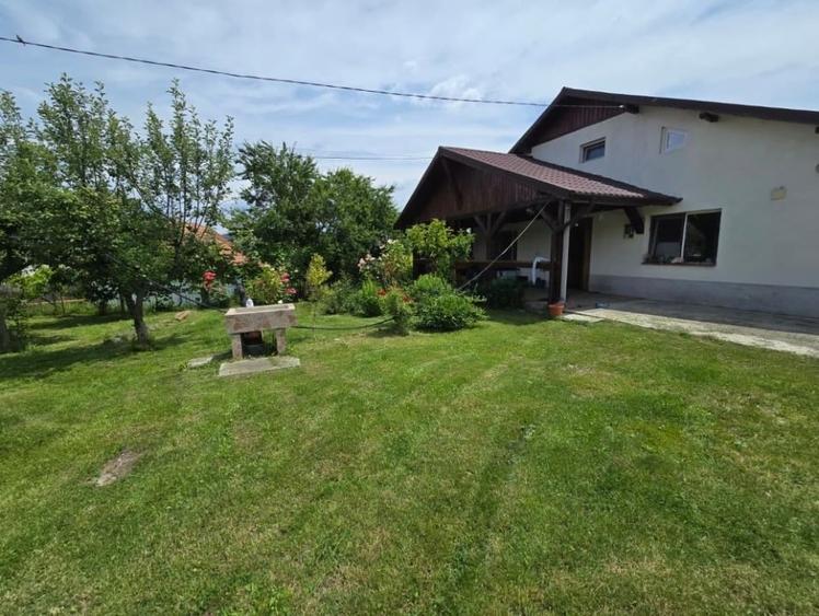 Casă individuală cu 5 camere cu Teren 3148 Mp în Central