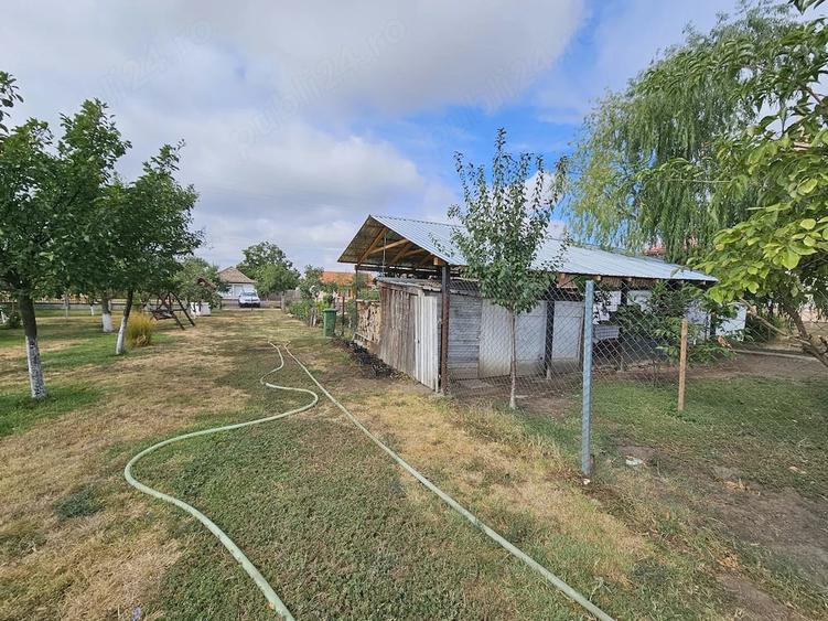 Casă cu 3 camere cu Teren 5587 Mp în Sânpetru Mic