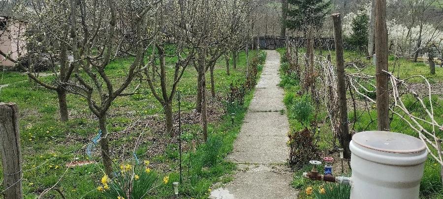 Casă în Racovițeni