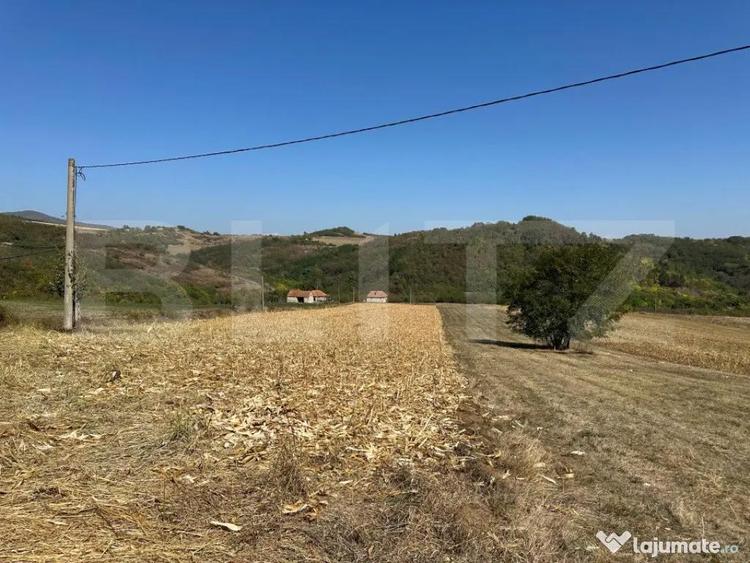 Teren intravilan de vanzare 14000mp,ideal pentru investitie, - 6