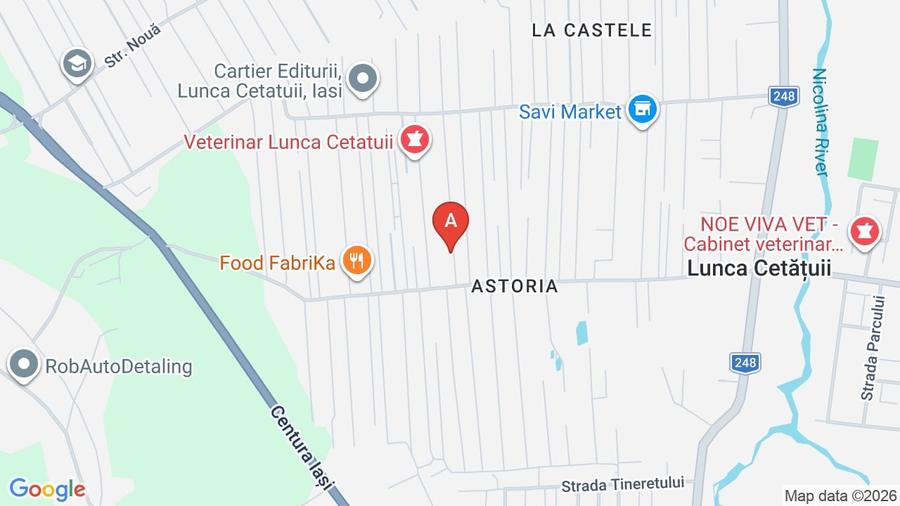 Apartament cu 4 camere decomandat, mobilat în Lunca Cetățuii