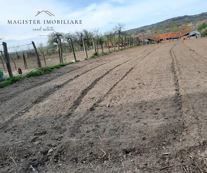 Casă cu 5 camere cu Teren 1600 Mp în Zorlențu Mare