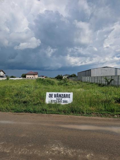 Vand teren bragadiru - 4
