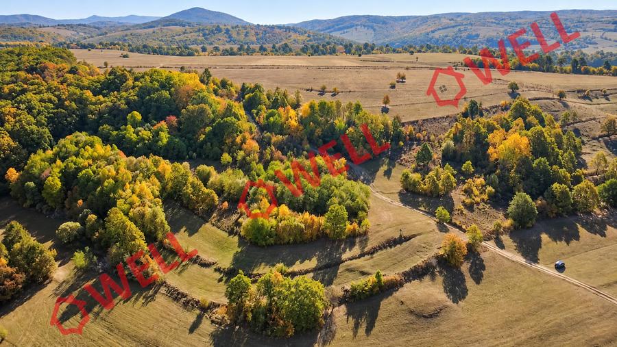 Teren extravilan de 4500 mp, în Bățanii Mici
