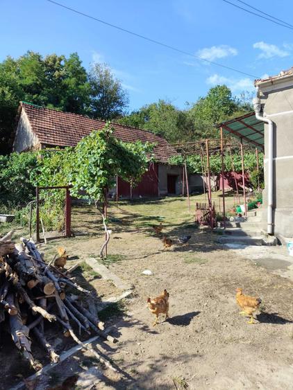 Casă cu 3 camere în Săliștea