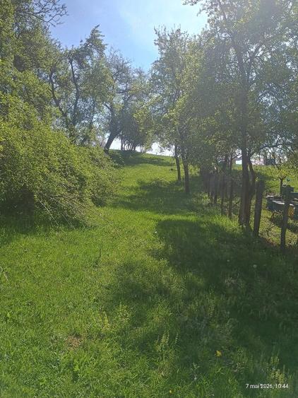 Teren de 10000 mp, în Bughea de Sus