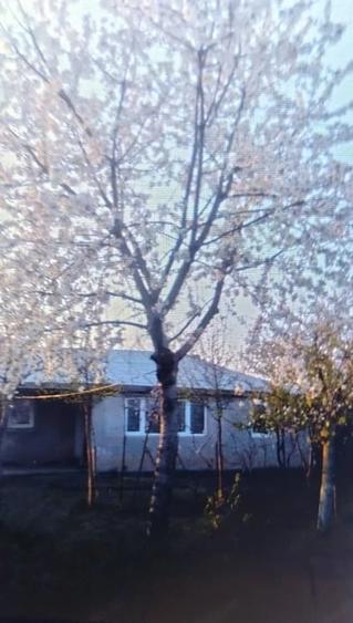 Casă cu 3 camere cu Teren 1200 Mp în Valea Râmnicului