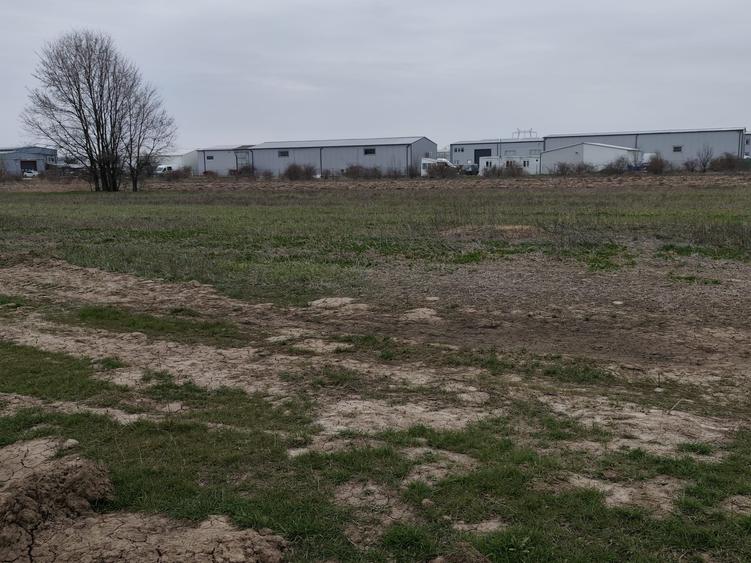 Teren Construcții intravilan de 1500 mp, în Bâcu