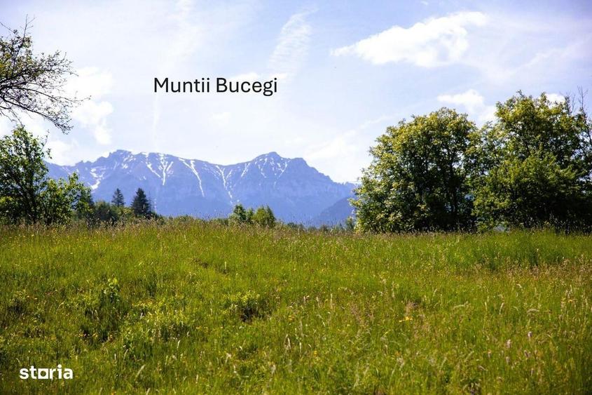 Teren intravilan - 1.050 mp in Bran cu utilitati priveli?te Bucegi - 11