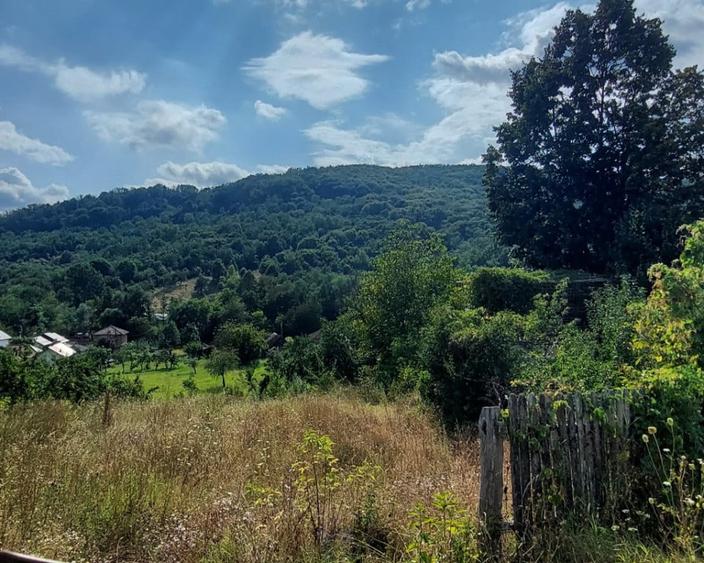 Teren de 1000 mp, în Mălureni