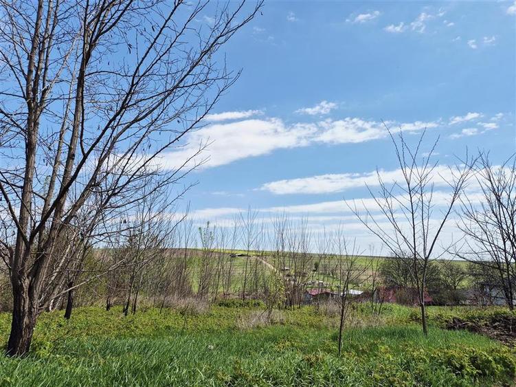Teren Construcții intravilan de 531 mp, în Holboca