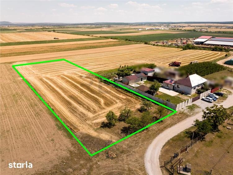 RECO Teren industrial in Nojorid la doar 6km de Oradea - 7