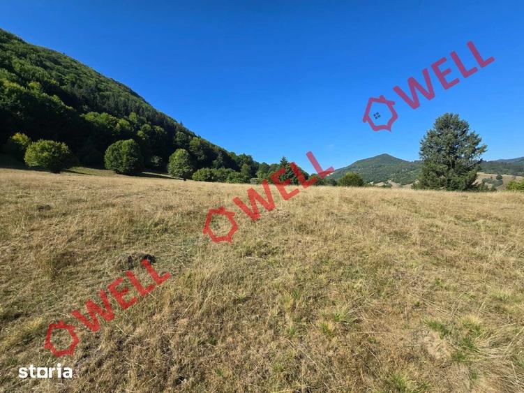 Teren de 7766 mp, în Vama Buzăului