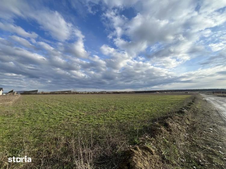 Teren de 11510 mp, în Sânmartin