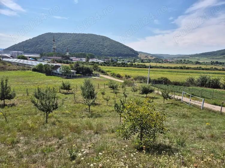 Teren de 12300 mp, în Crainimăt