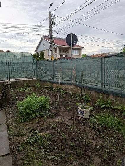 Teren de 480 mp, în Mioriței