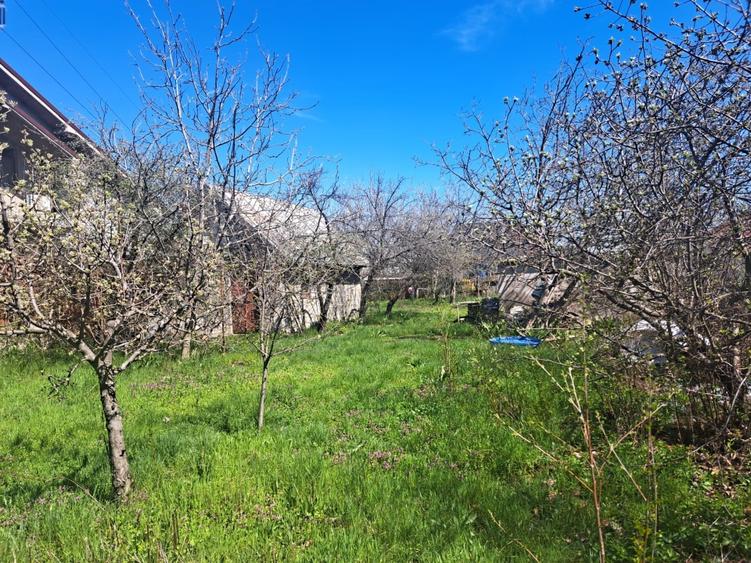 Teren intravilan 5000 mp Slatina  - 2